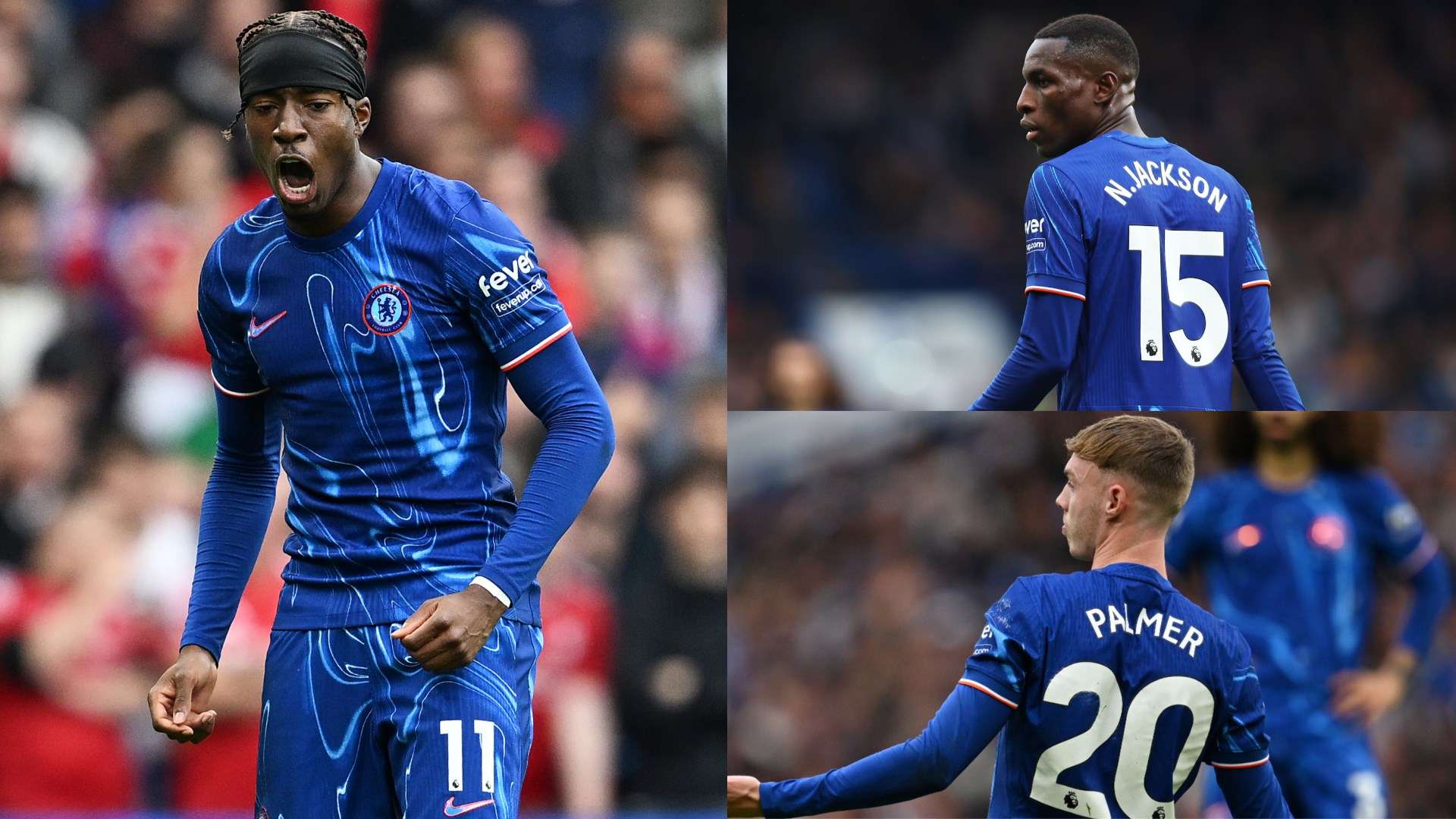 己从乡村走 己从乡村走